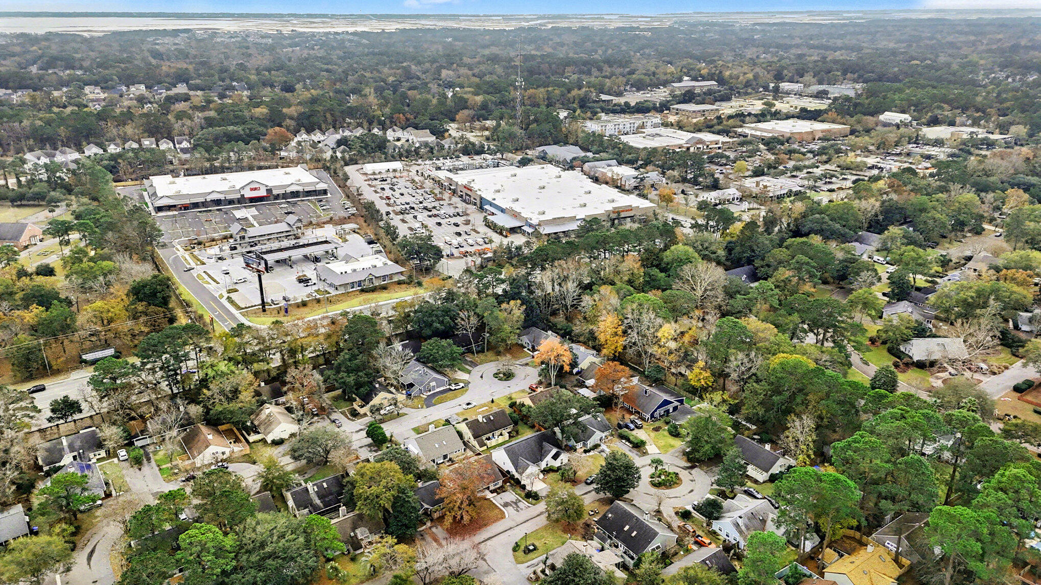 1131 Daffodil Lane Mount Pleasant, SC 29464 - Photo 35 of 36 Aerial