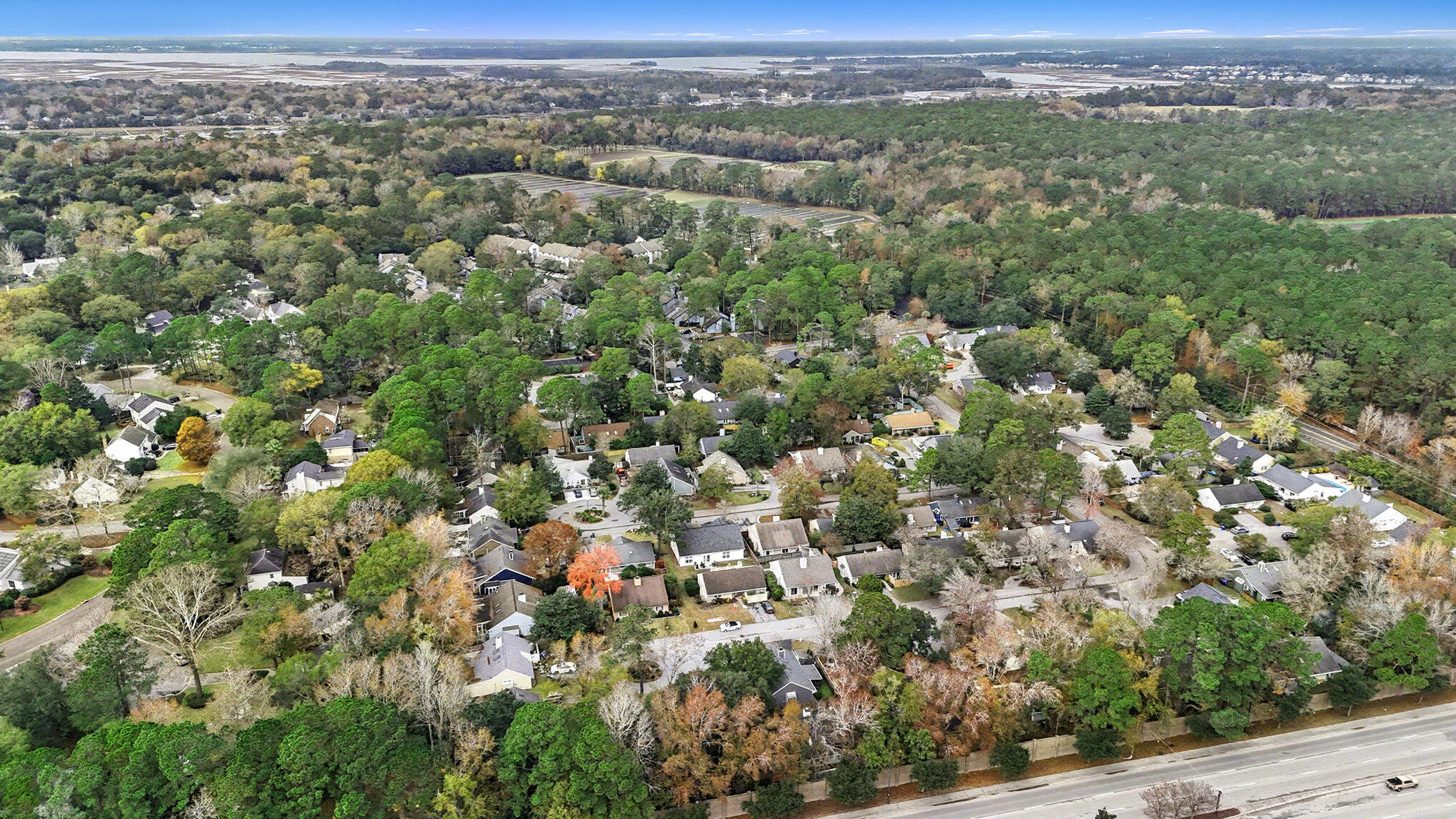 1131 Daffodil Lane Mount Pleasant, SC 29464 - Photo 36 of 36 Aerial