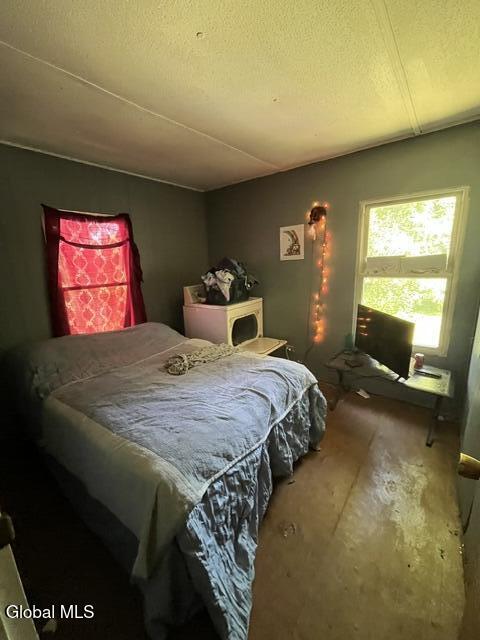 115 Lowber Road Greenwich, NY 12834 - Photo 23 of 23 IMG_3416