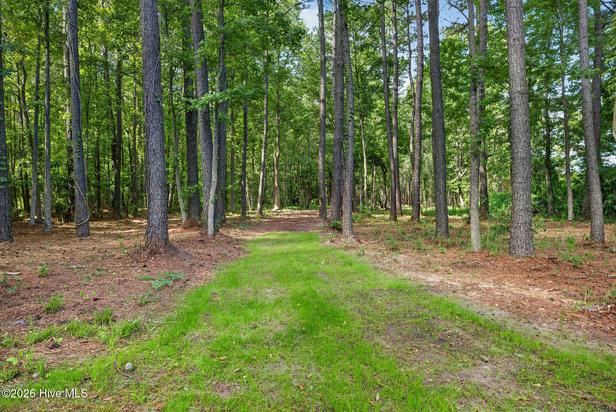451 Governors Road Southeast Winnabow, NC 28479 - Photo 51 of 60 451GovernorsRoadSE-16