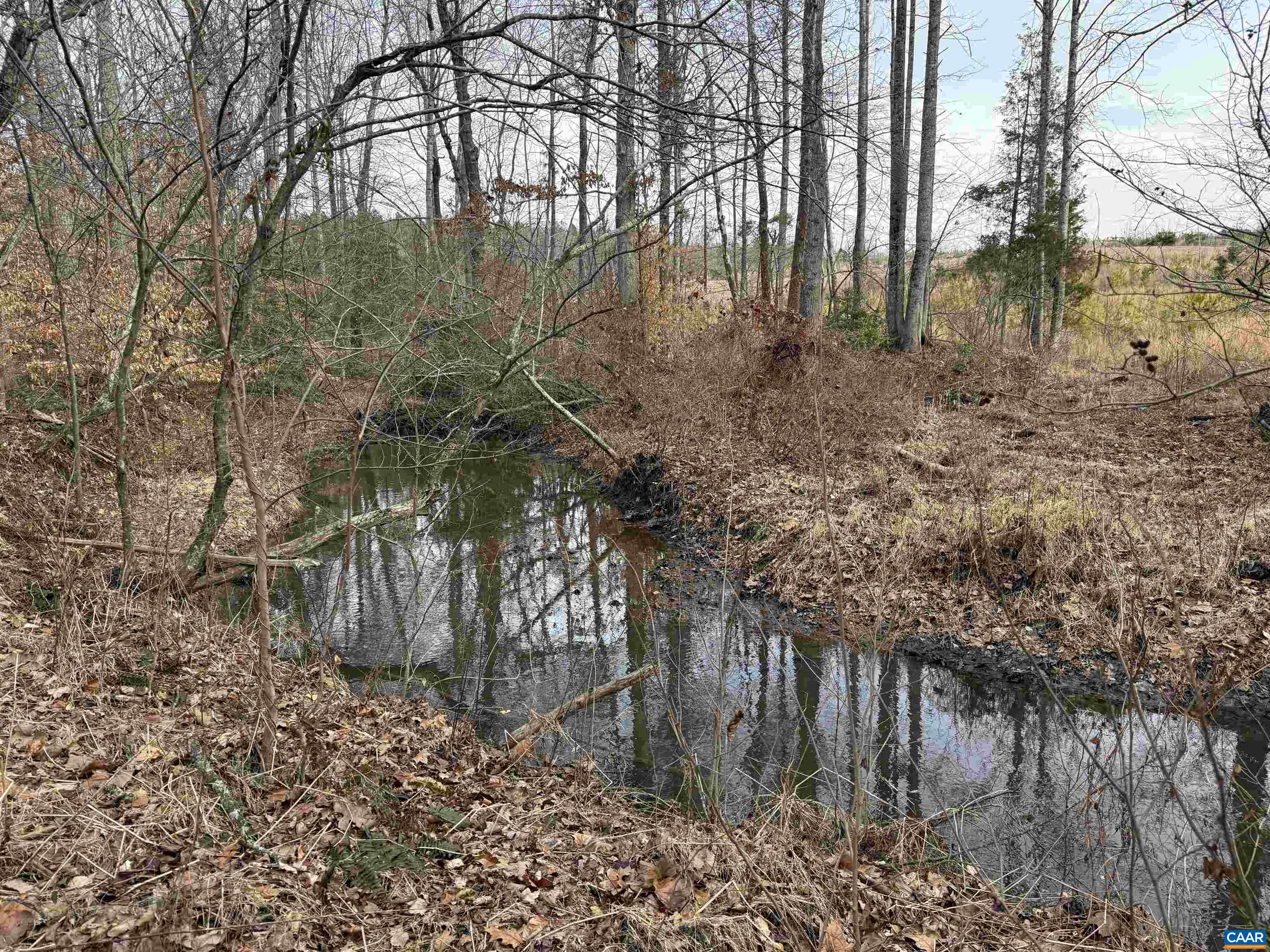 1 Community House Road Columbia, VA 23038 - Photo 9 of 31 Gallery Image 9