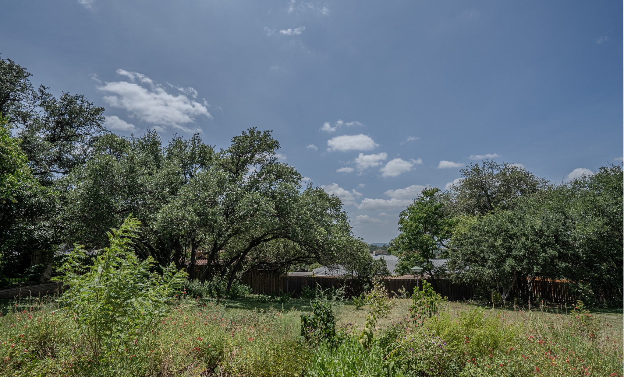 115 Snapper Street Lakeway, TX 78734 - Photo 29 of 30 A spacious yard bordered by verdant trees offers a serene natural setting.