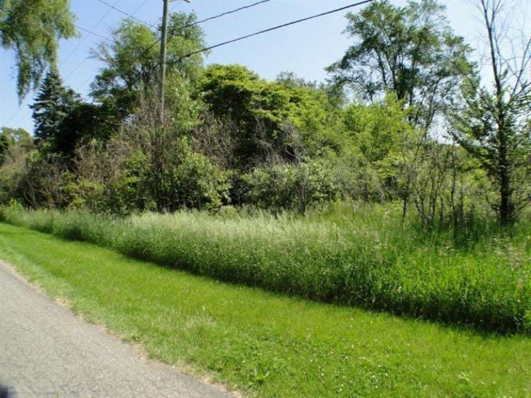 Mead Road Buchanan, MI 49107 - Photo 1 of 5 Primary Photo