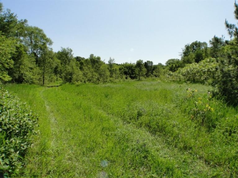 Mead Road Buchanan, MI 49107 - Photo 2 of 5 Additional Photo