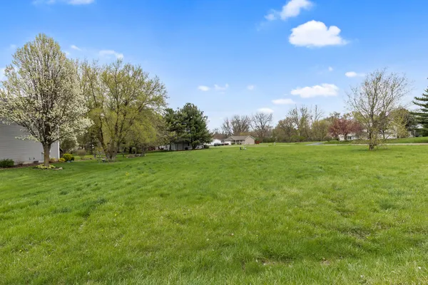 a view of a green field