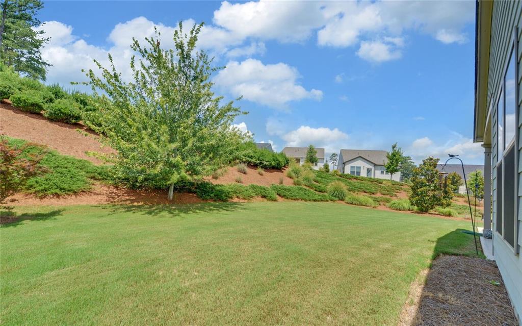 5825 Maple Bluff Way Hoschton, GA 30548 - Photo 48 of 67 a view of a yard with an tree