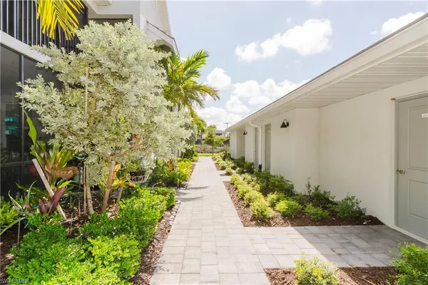 a view of a pathway with flower plants
