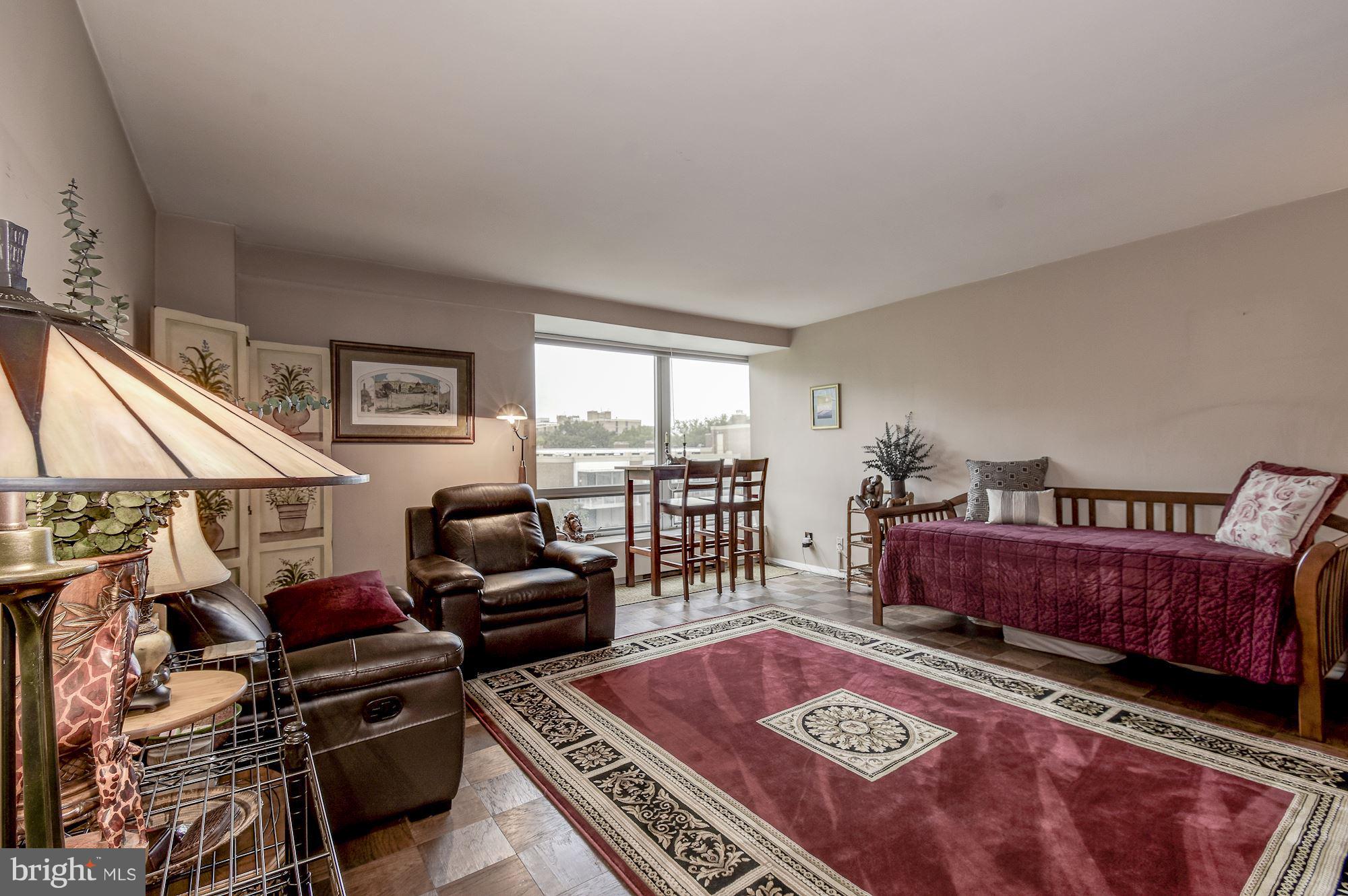 1425 4th Street Southwest, Unit 317 Washington, DC 20024 - Photo 7 of 23 a living room with furniture and a rug
