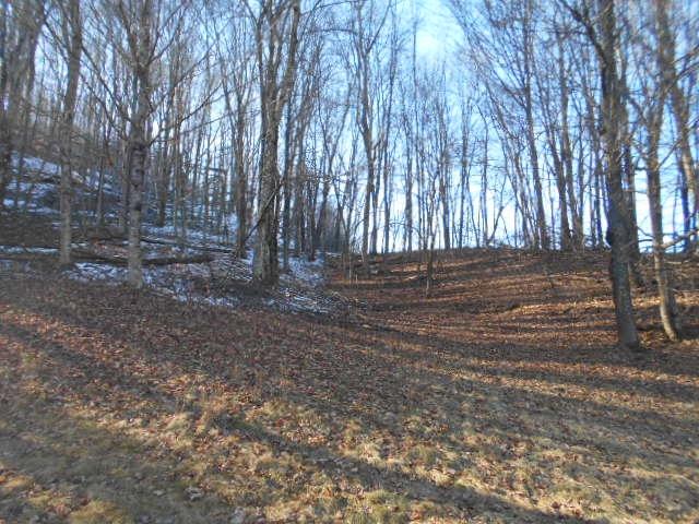 1 Rr Meadow Bridge, WV 25976 - Photo 9 of 12 Gallery Image 9