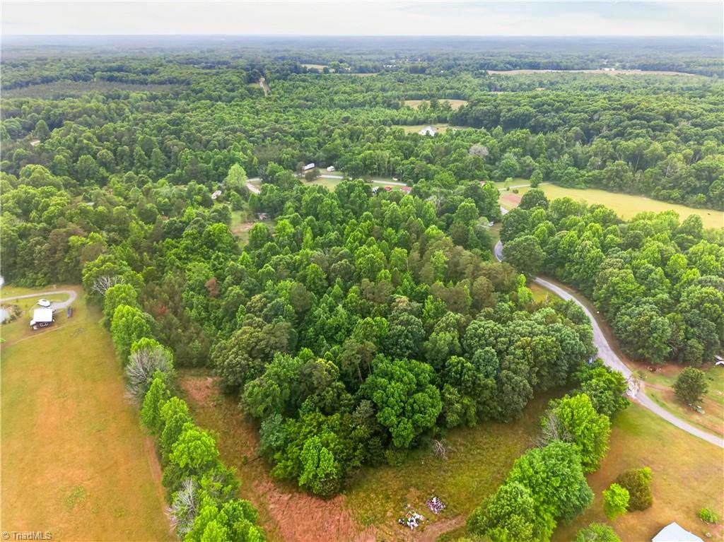 7436 Chaseford Road Liberty, NC 27298 - Photo 6 of 14