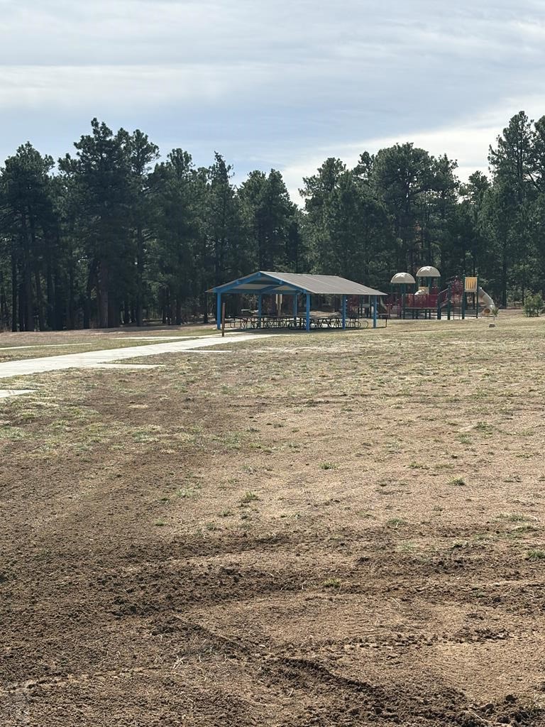 8326 Cuerna Verde Road Rye, CO 81069 - Photo 62 of 65