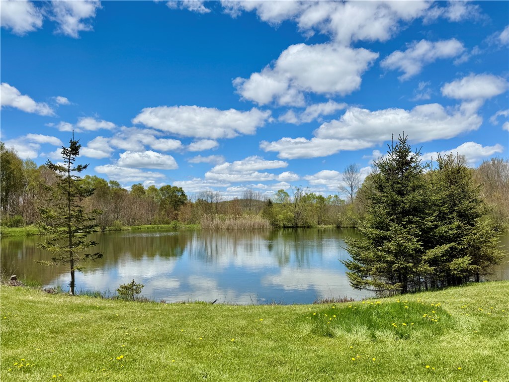 175 Hovick Road Burlington, NY 13348 - Photo 10 of 48