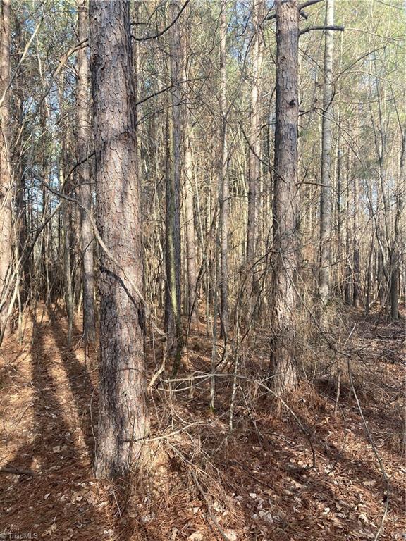 0 Curtis Powers Road Bennett, NC 27208 - Photo 23 of 35
