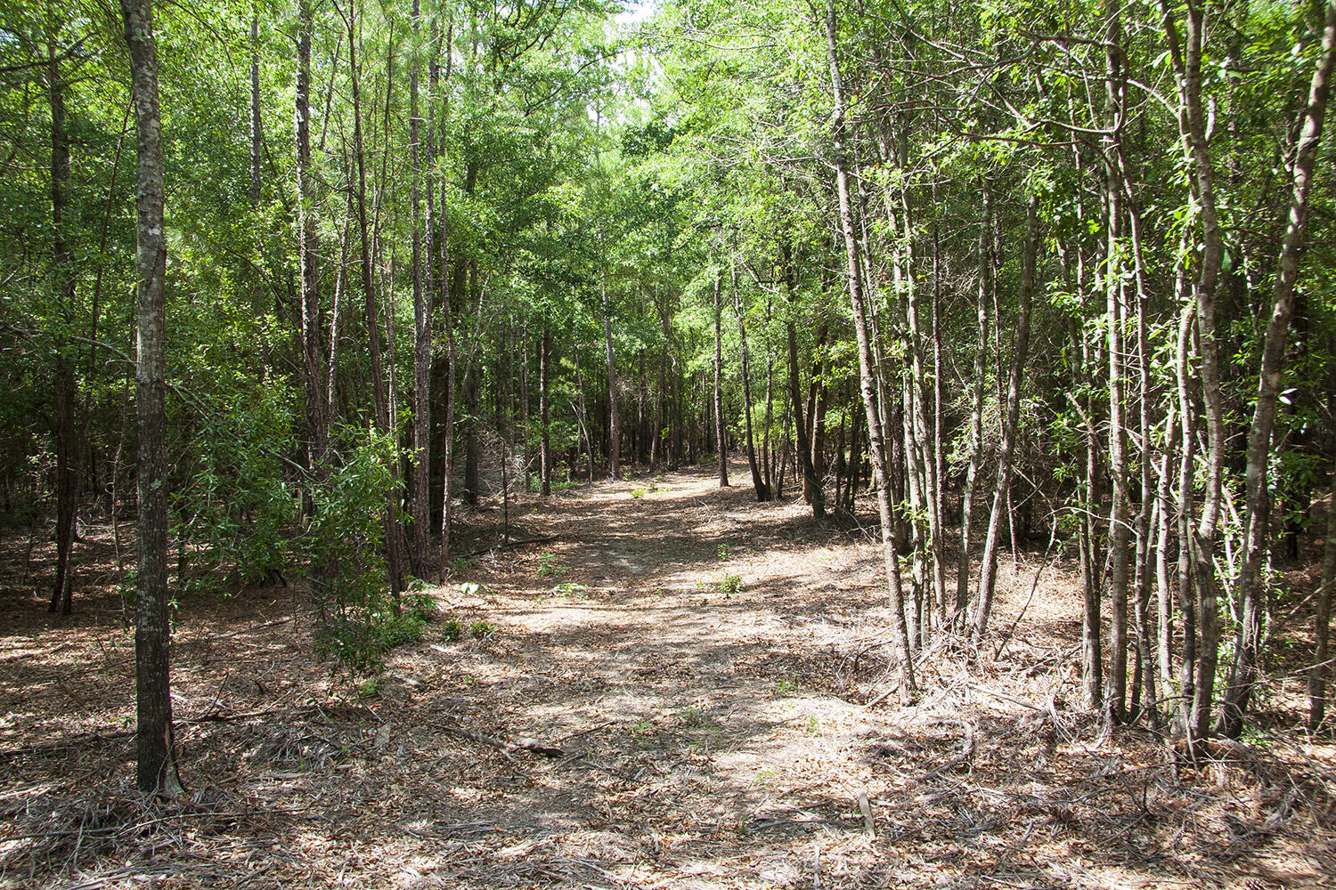 1515 G Hephzibah - McBean Road Hephzibah, GA 30815 - Photo 12 of 15 Springhill G_09