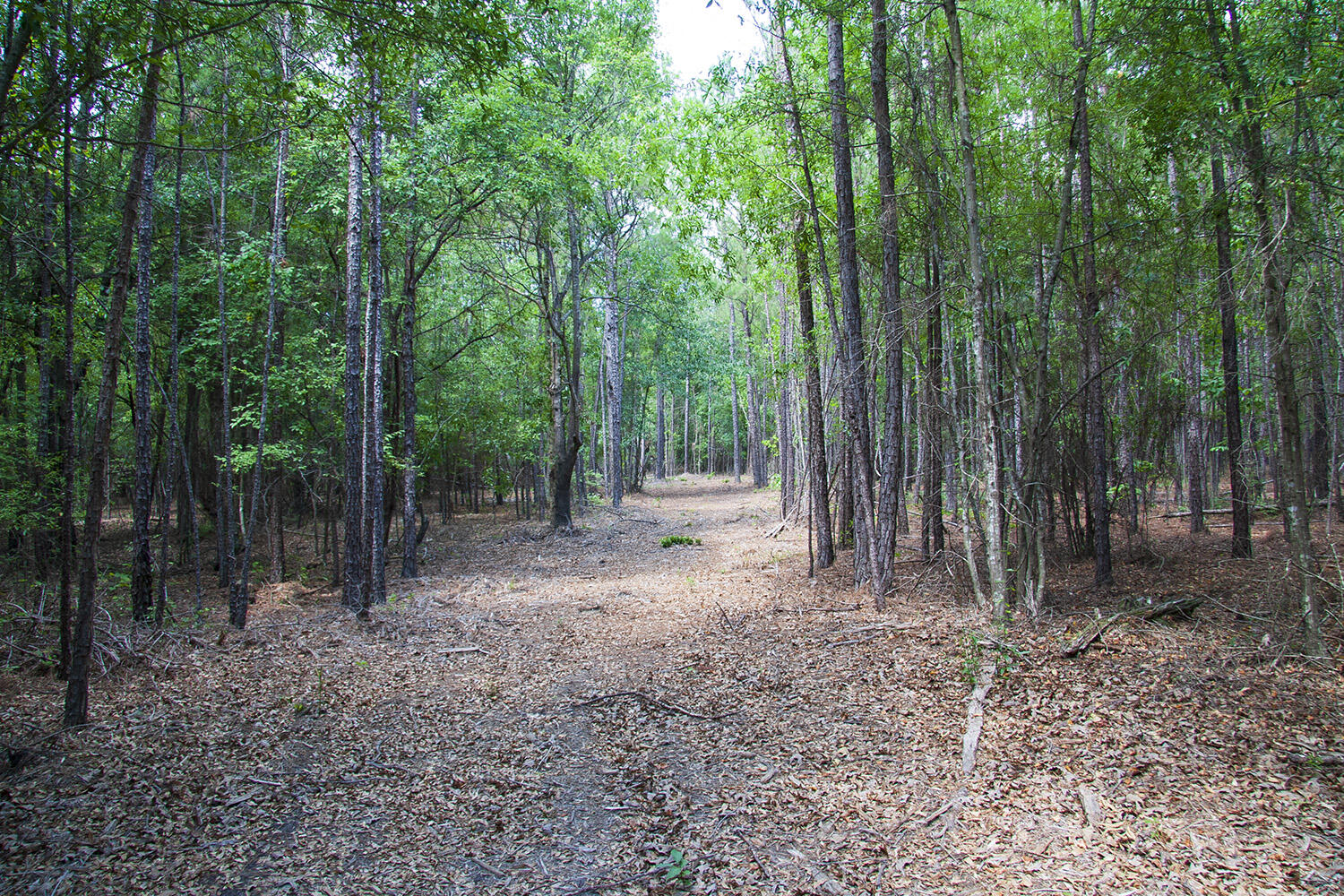 1515 G Hephzibah - McBean Road Hephzibah, GA 30815 - Photo 13 of 15 Springhill G_10