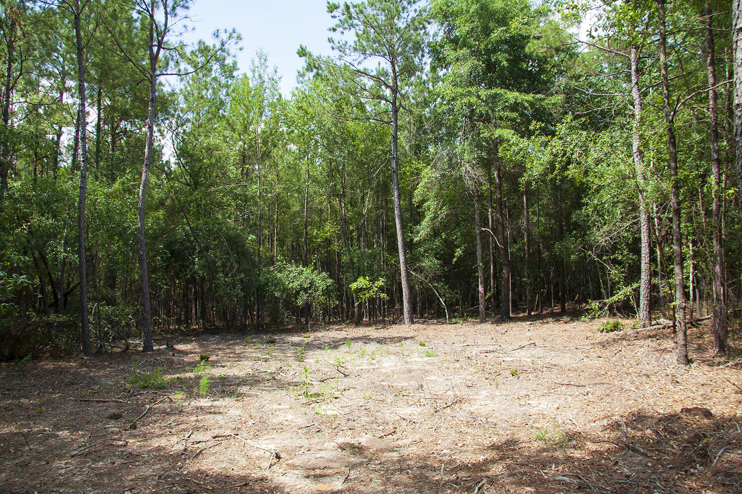 1515 G Hephzibah - McBean Road Hephzibah, GA 30815 - Photo 14 of 15 Springhill G_11