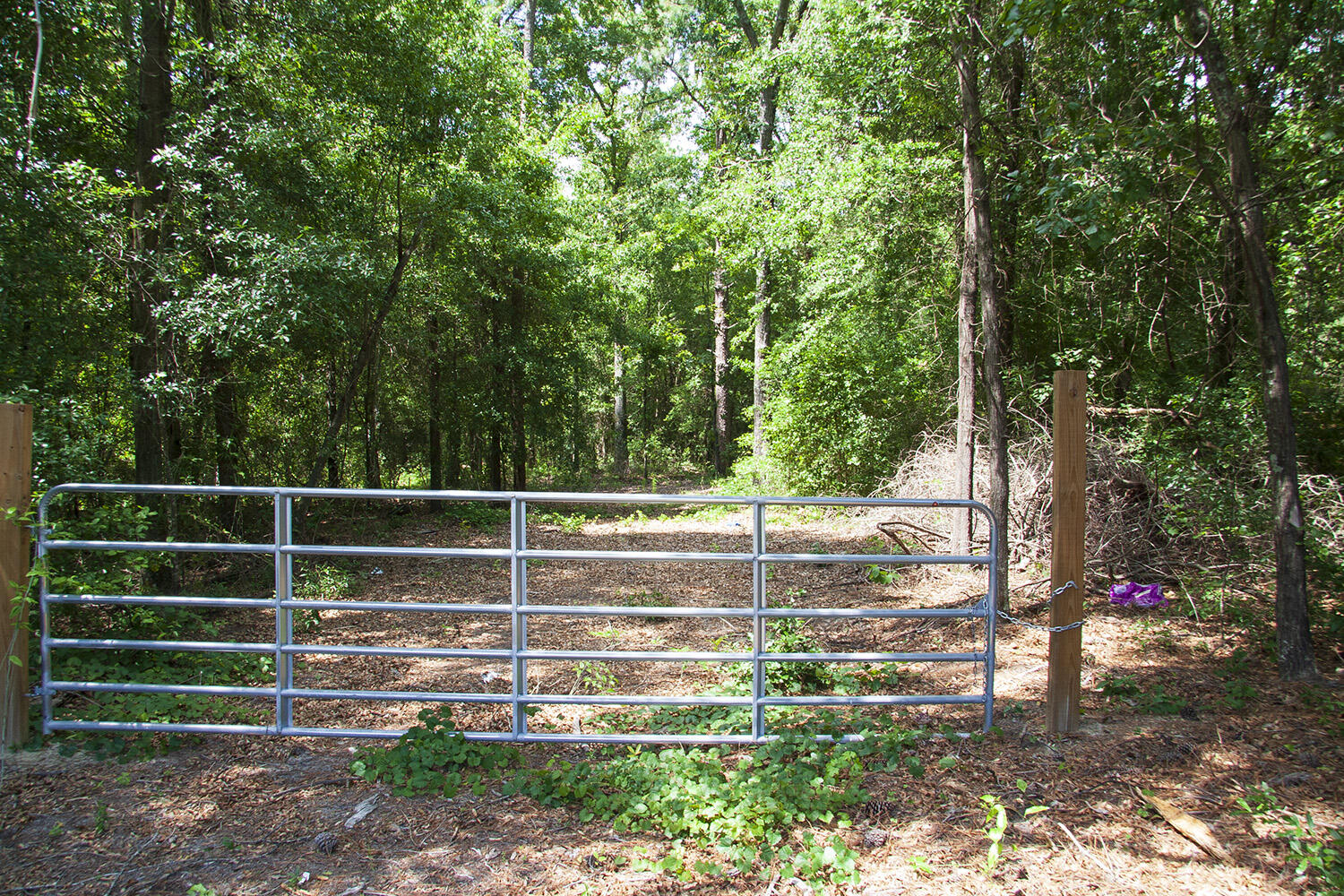 1515 G Hephzibah - McBean Road Hephzibah, GA 30815 - Photo 3 of 15 Springhill G_01