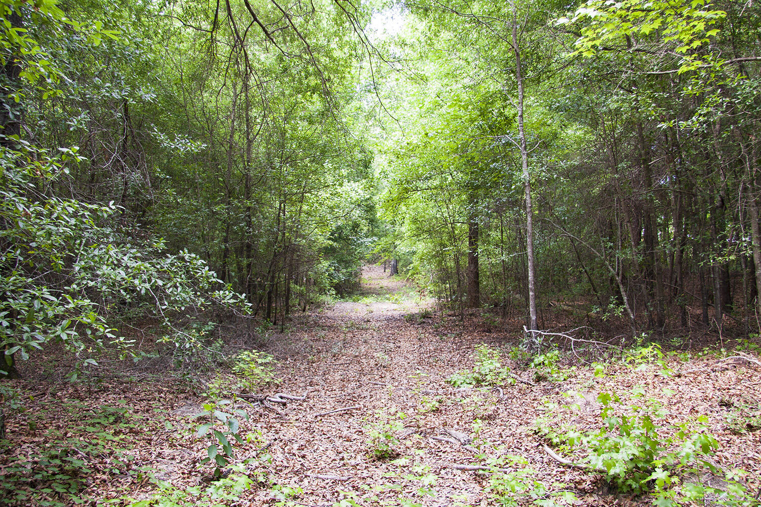 1515 G Hephzibah - McBean Road Hephzibah, GA 30815 - Photo 4 of 15 Springhill G_02
