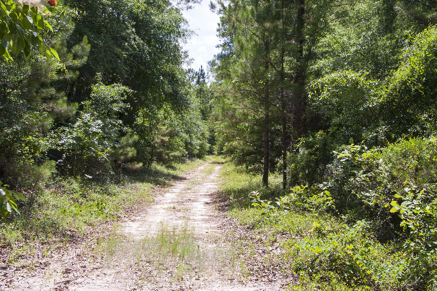 1515 G Hephzibah - McBean Road Hephzibah, GA 30815 - Photo 10 of 15 Springhill G_07
