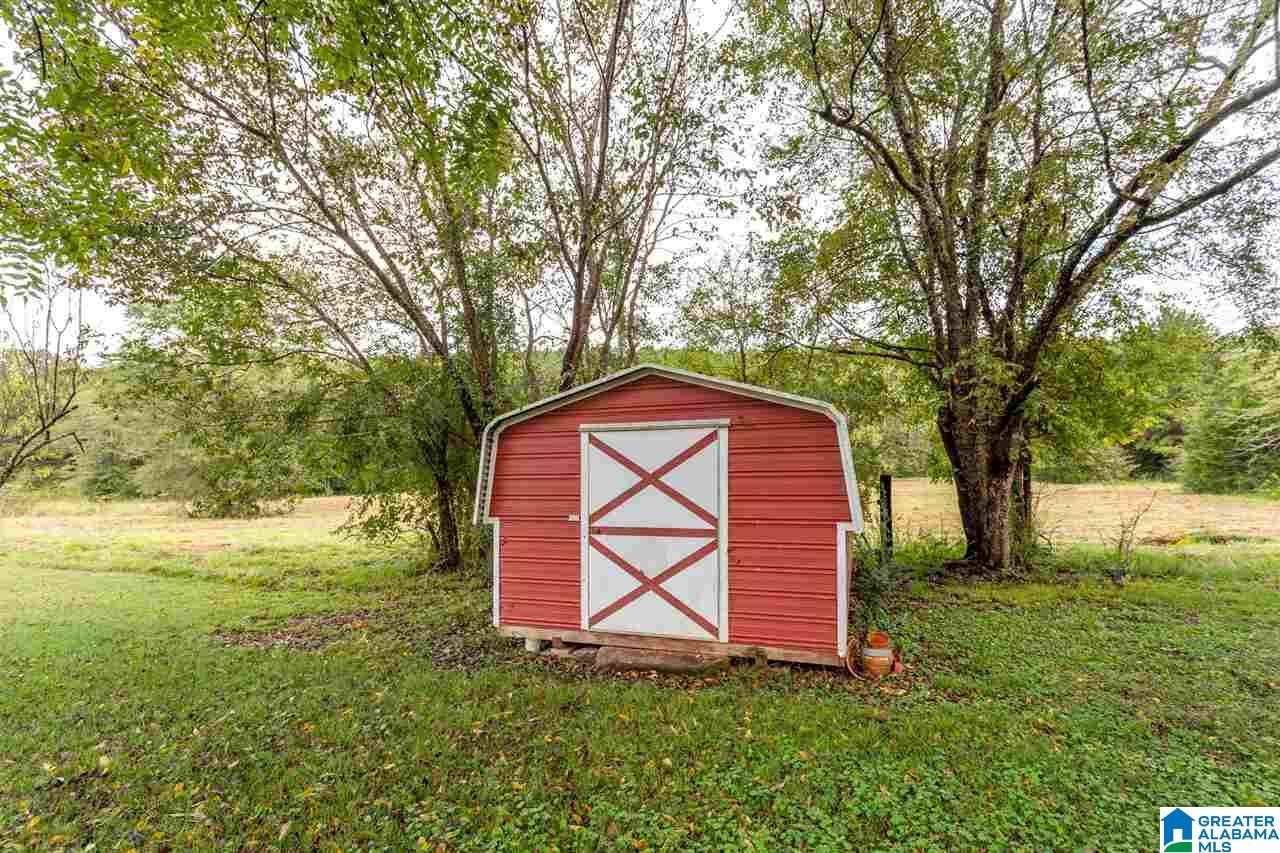 577 Richeytown Road Eastaboga, AL 36260 - Photo 34 of 42