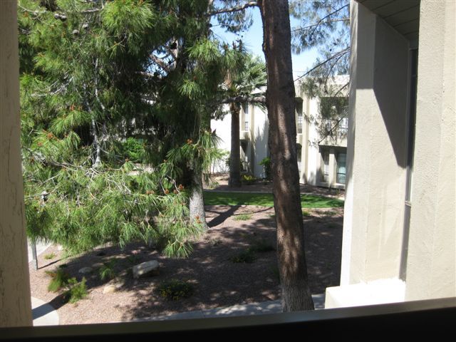 5225 North 24th Street, Unit 207 Phoenix, AZ 85016 - Photo 10 of 19 Balcony View