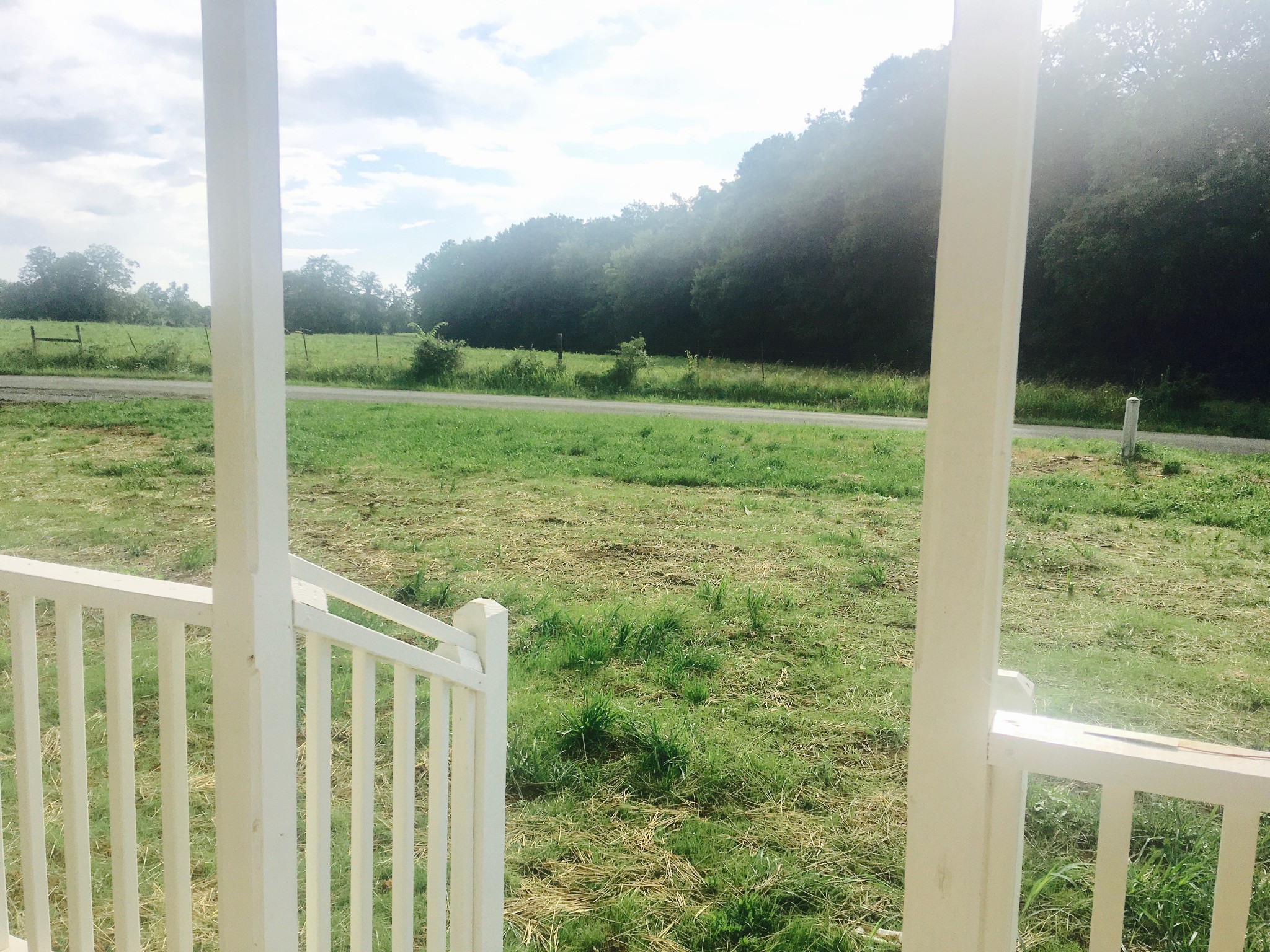 2329 Franklin Hayes Road Pulaski, TN 38478 - Photo 22 of 24 a view of a garden from a window