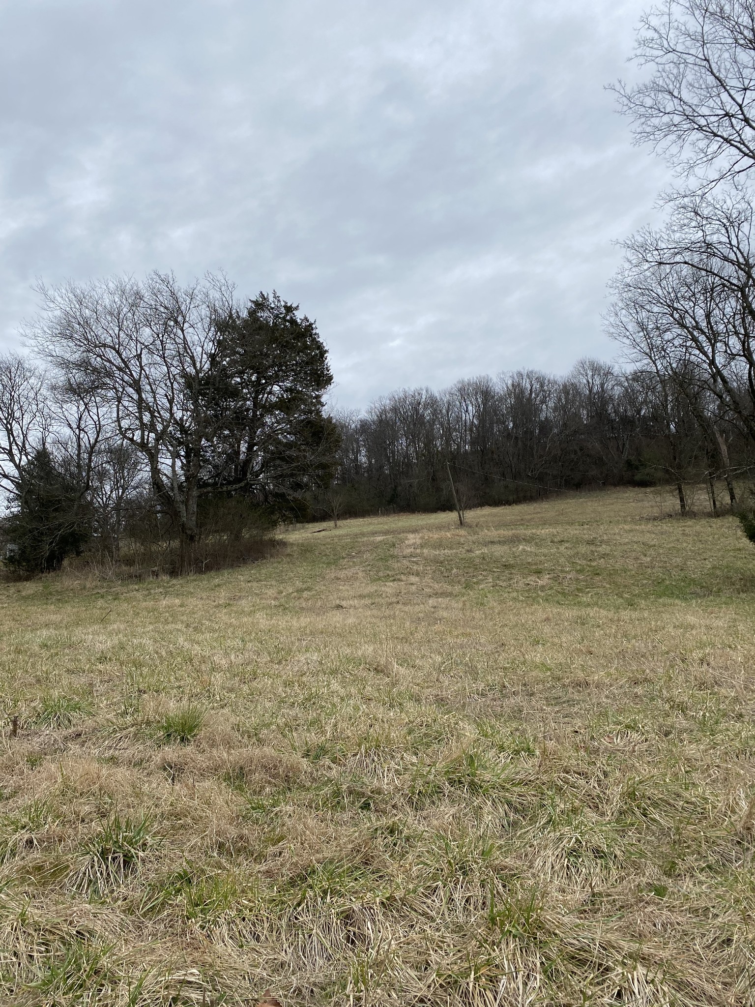 9 Rambo Hollow Road Lewisburg, TN 37091 - Photo 1 of 6 Gallery Image 1