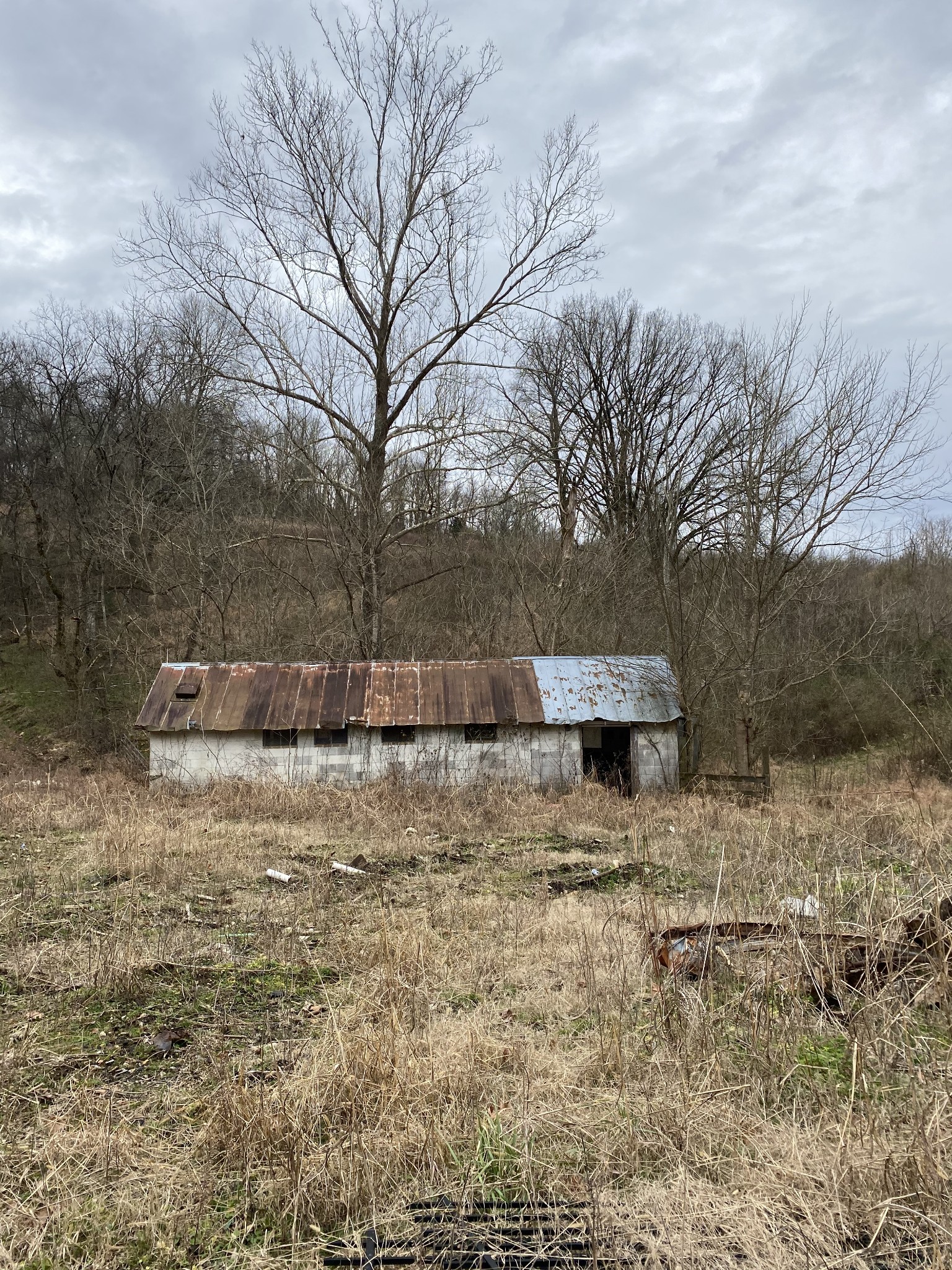 9 Rambo Hollow Road Lewisburg, TN 37091 - Photo 2 of 6 Gallery Image 2