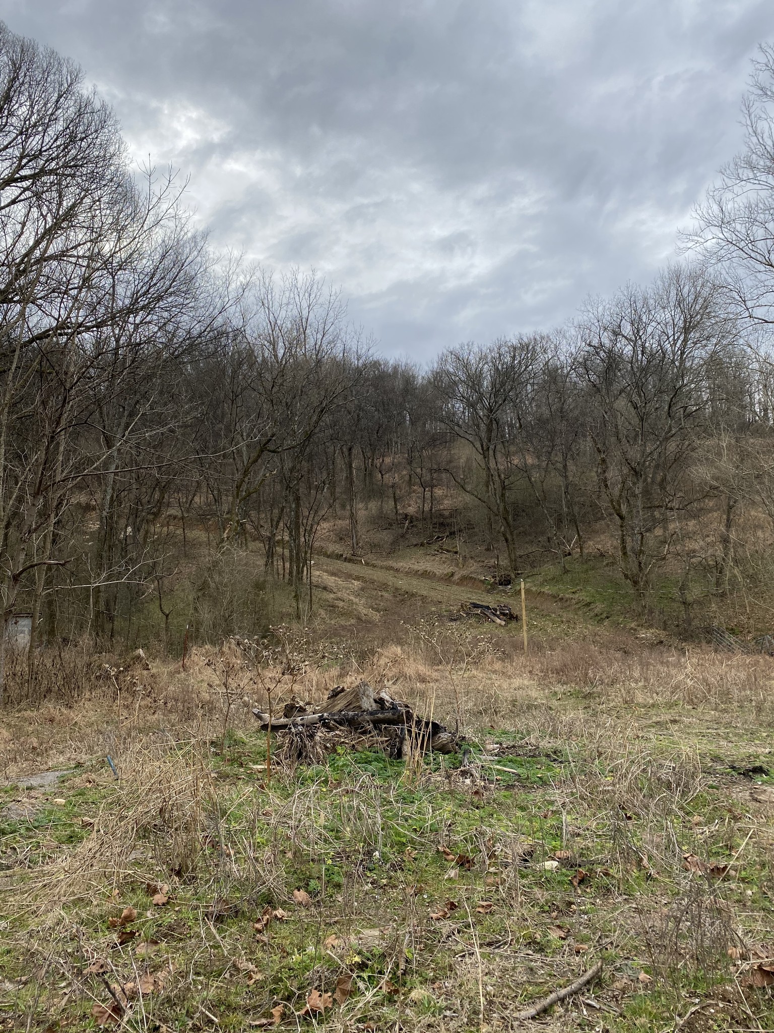 9 Rambo Hollow Road Lewisburg, TN 37091 - Photo 3 of 6 Gallery Image 3