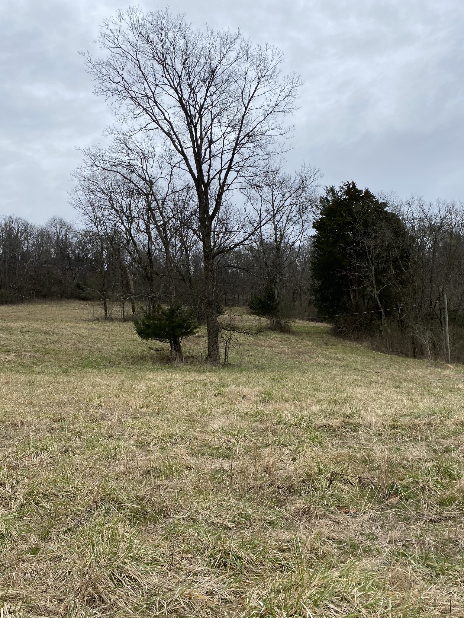 9 Rambo Hollow Road Lewisburg, TN 37091 - Photo 4 of 6 Gallery Image 4