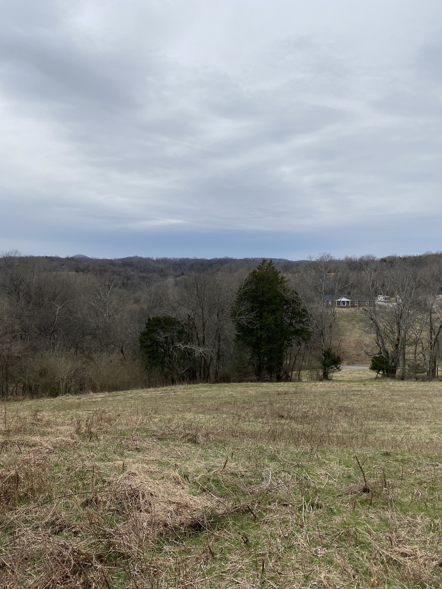 9 Rambo Hollow Road Lewisburg, TN 37091 - Photo 6 of 6 Gallery Image 6