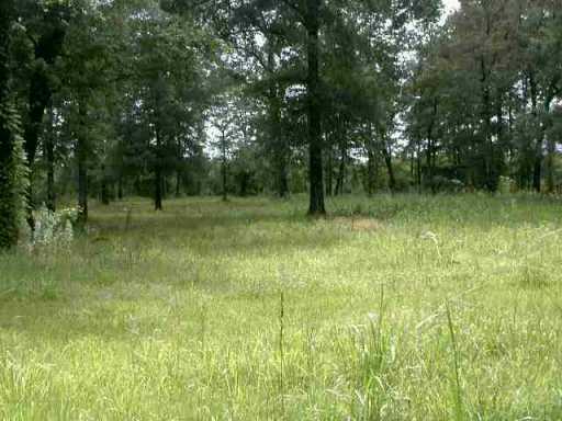 7309 Hickory Grove Road Deville, LA 71328 - Photo 3 of 9 Gallery Image 3