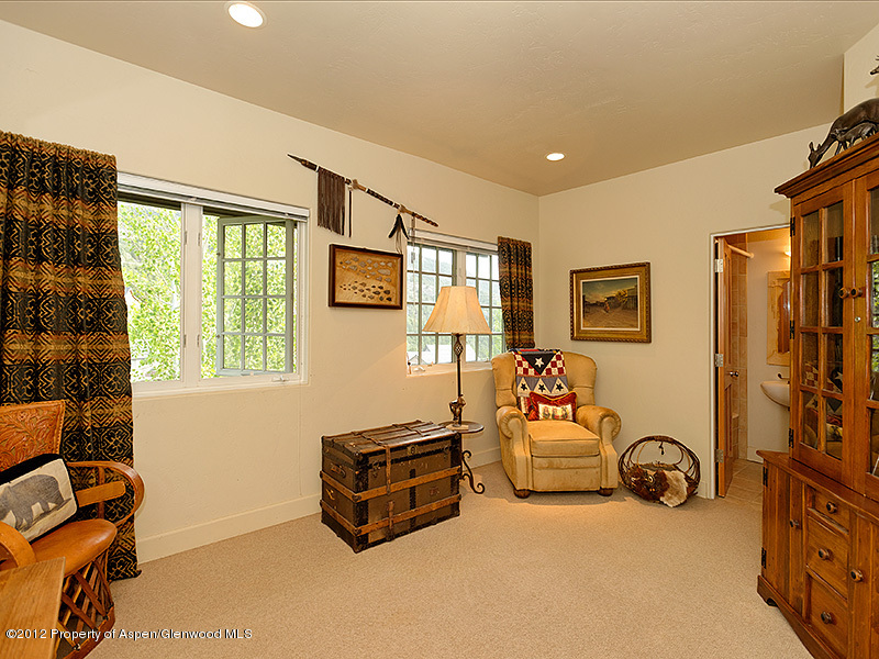 205 Wild Spring Lane Basalt, CO 81621 - Photo 8 of 23 205 Wild Springs Lane_WEB06