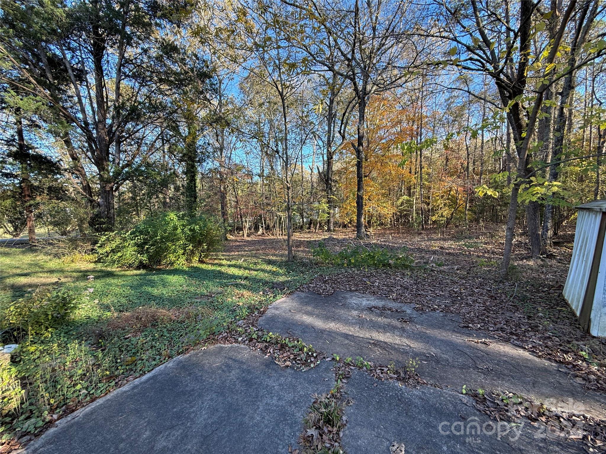 1050 South Lake Drive Lancaster, SC 29720 - Photo 5 of 15 a view of a yard with plants and trees