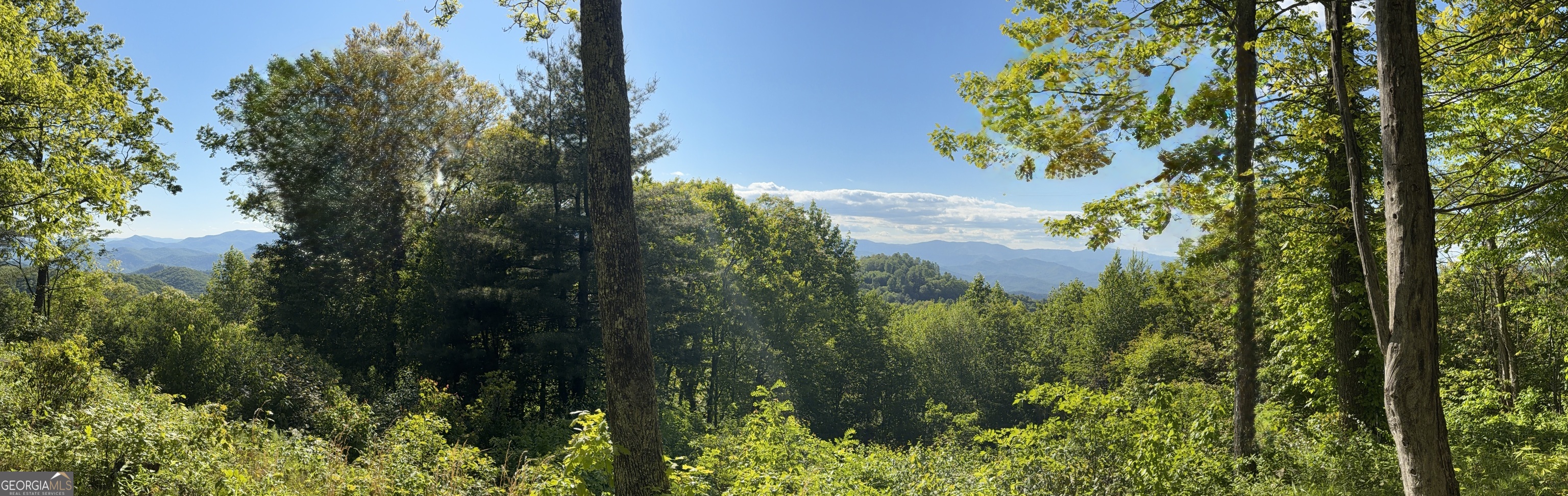 0 Rr 1622 Scaly Mountain, NC 28775 - Photo 4 of 8