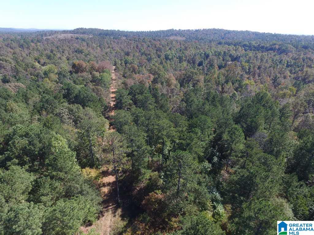 Sprayberry Road, Unit 103 Cropwell, AL 35054 - Photo 2 of 48