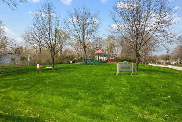 a view of a park with large trees