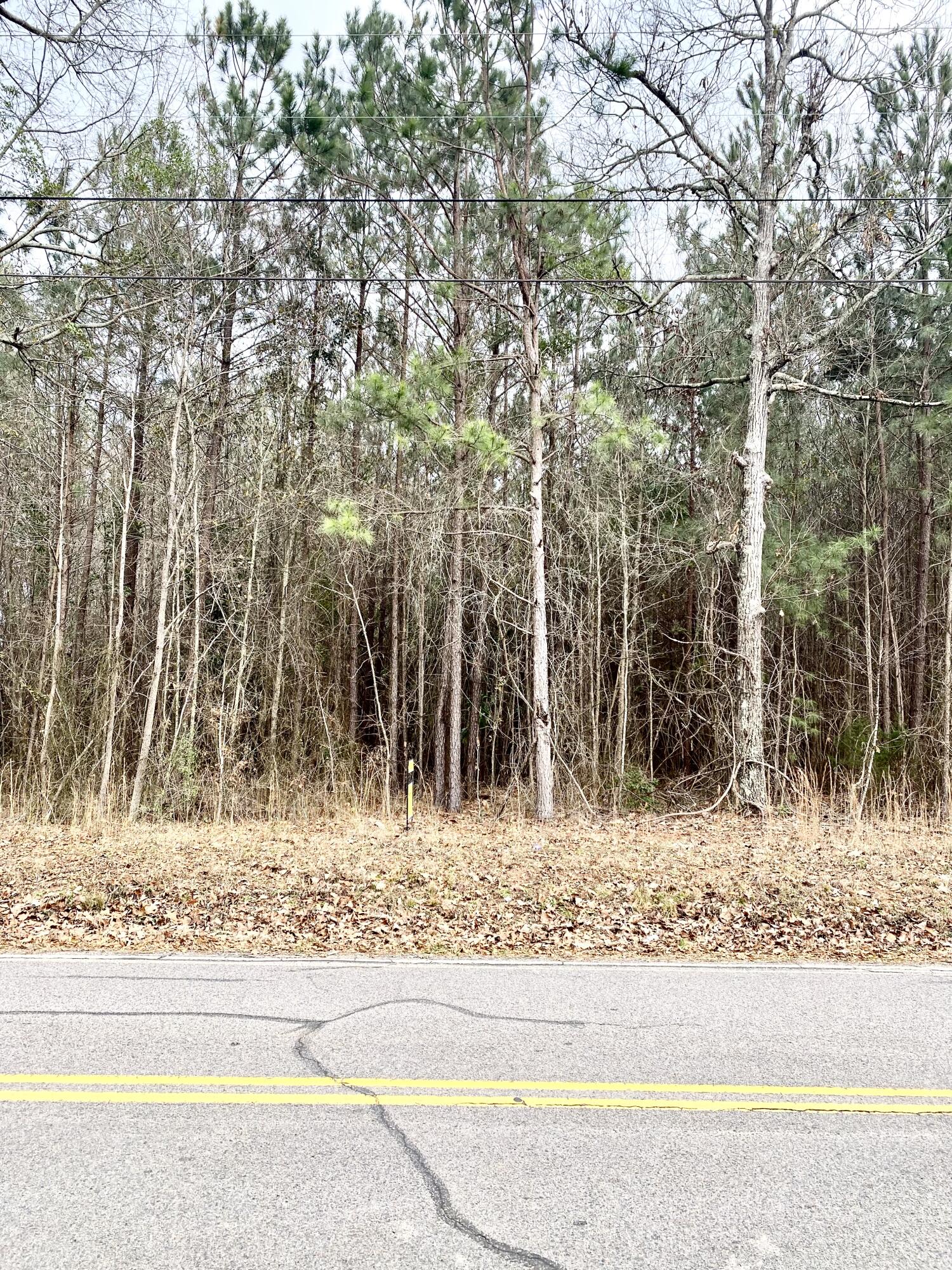 0 Pickens Street Edgefield, SC 29824 - Photo 2 of 4