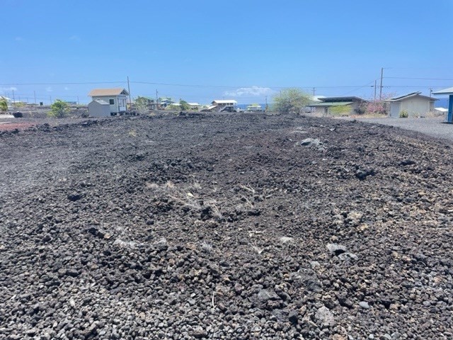 a view of a dry yard with trees