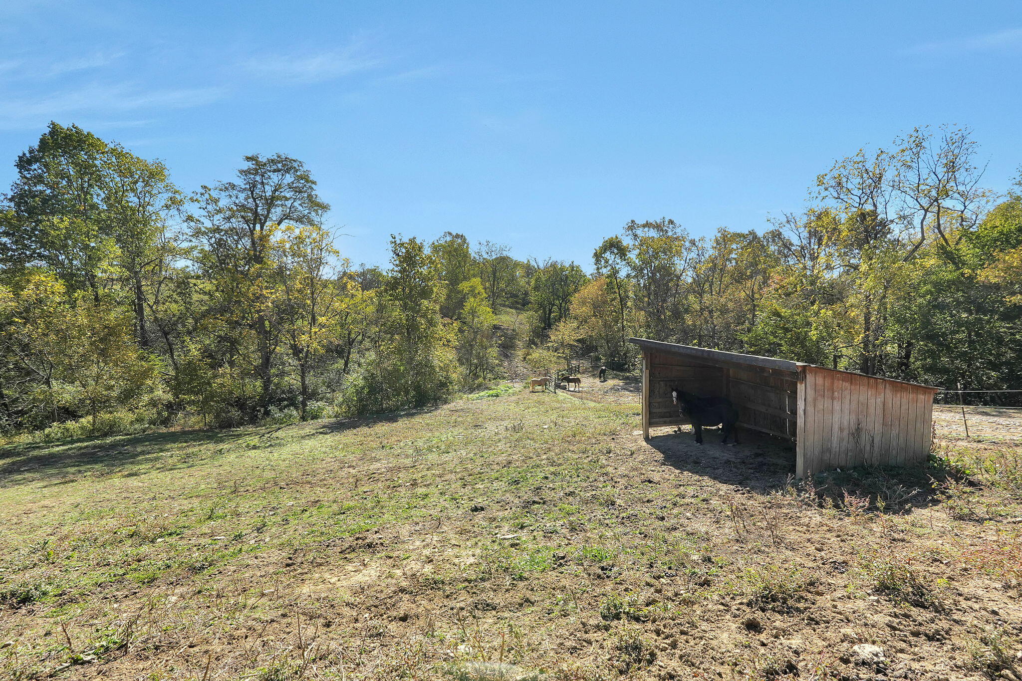 3383 Hathaway Road Union, KY 41091 - Photo 29 of 52 Gallery Image 29