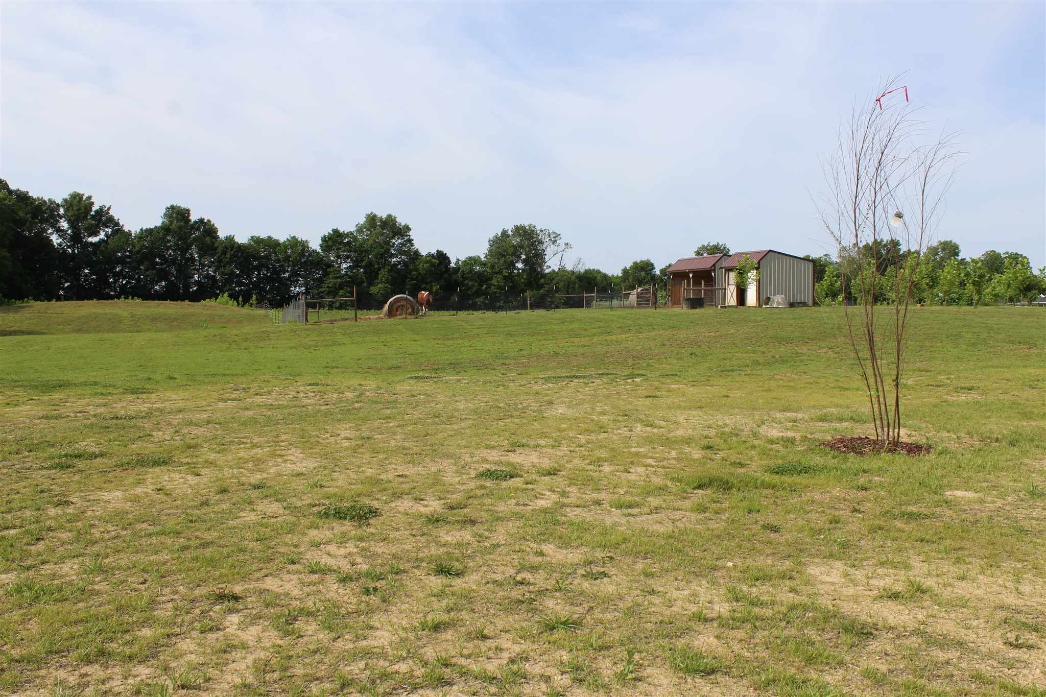 305 East New Hope Road Boonville, IN 47601 - Photo 28 of 36 Gallery Image 28