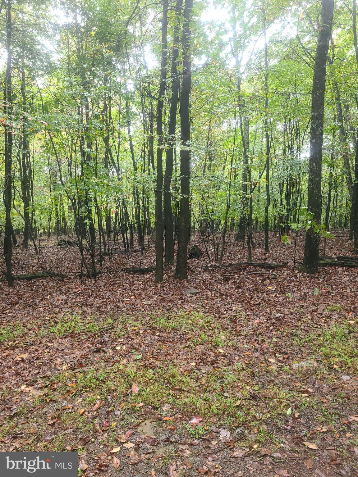 Haven Place Berkeley Springs, WV 25411 - Photo 5 of 9