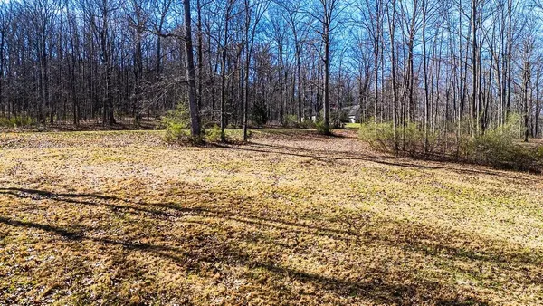 a view of a backyard with wooden fence