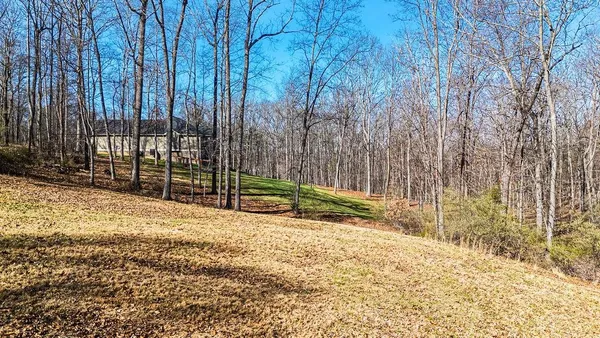 a view of a yard with a tree