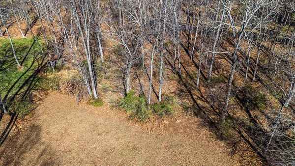 a view of a yard with a tree