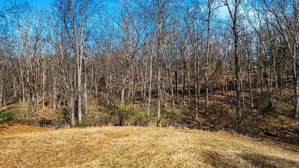 a view of wooden fence and trees
