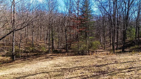 a view of a backyard with trees