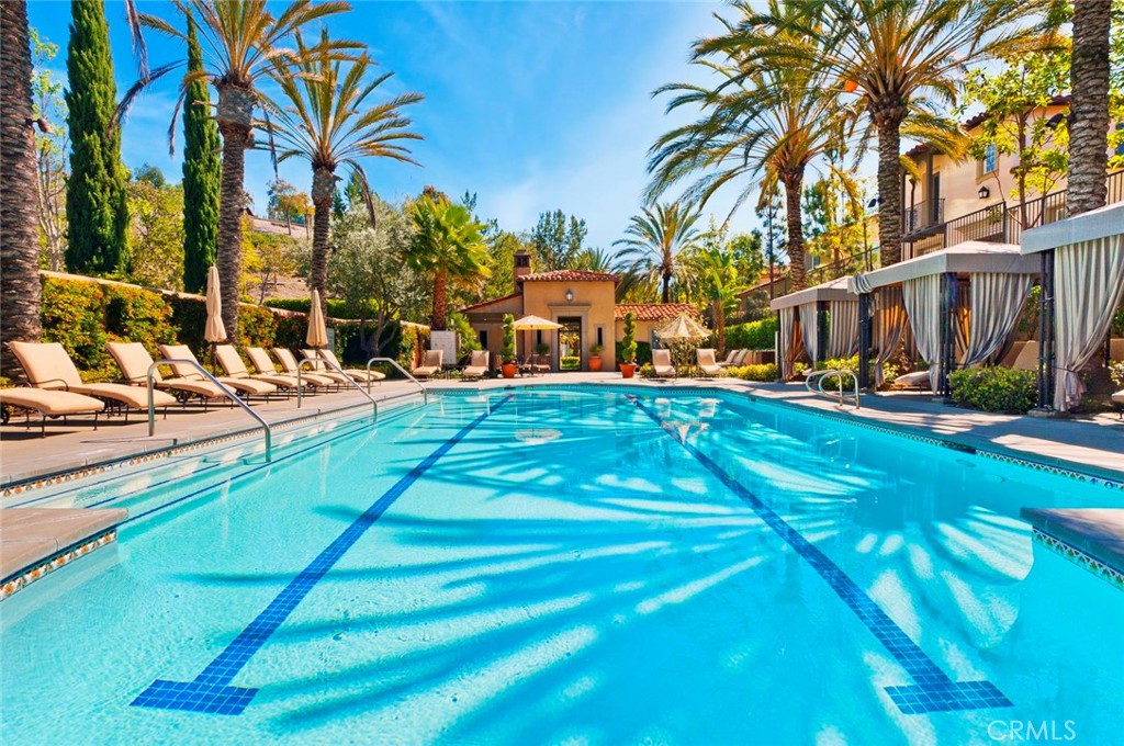 55 Bower Tree Irvine, CA 92603 - Photo 30 of 32 a view of a yard with palm trees