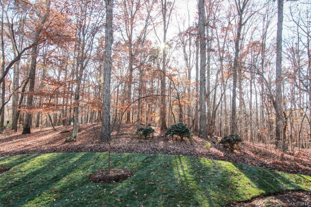 418 Raintree Drive Matthews, NC 28104 - Photo 22 of 24 Gallery Image 22