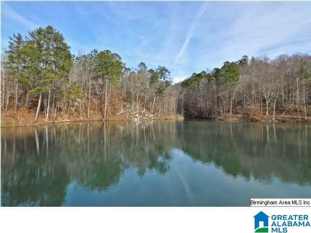 65 Hollow Road South, Unit 4 Blountsville, AL 35031 - Photo 6 of 14